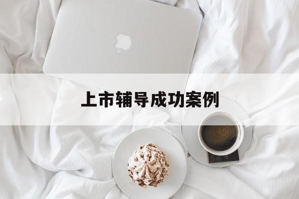 上市辅导成功案例(上市辅导成功后肯定会上市吗)马鞍山市